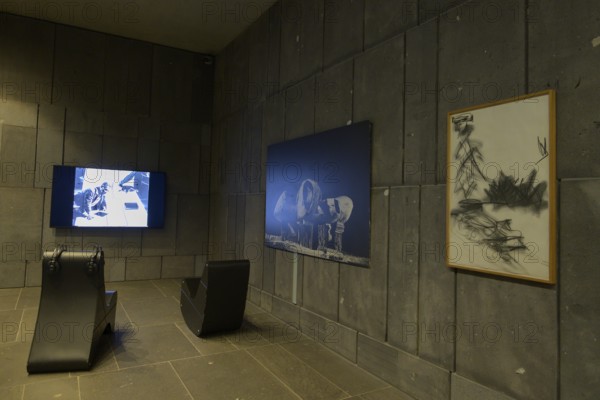 Museum of Modern Art, Ludwig Foundation Vienna, Art Museum, Art Objects, Vienna