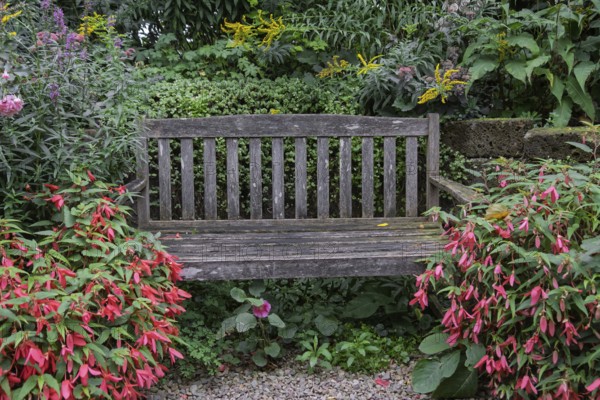 Garden bench made of weathered wood, North Rhine-Westphalia, Germany