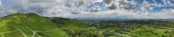 Sweeping panorama with green vineyards and a cloudy sky