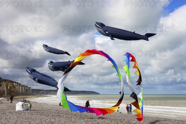 Kite festival on the beach, international kite festival, kites in the shape of whales, Dieppe, Normandy, France