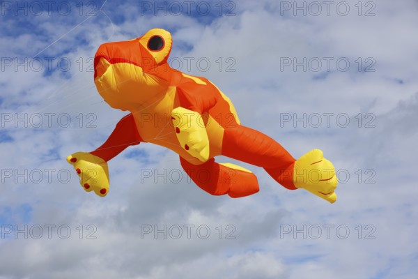 Kite festival, international kite festival, kite in the shape of a frog, Dieppe, Normandy, France