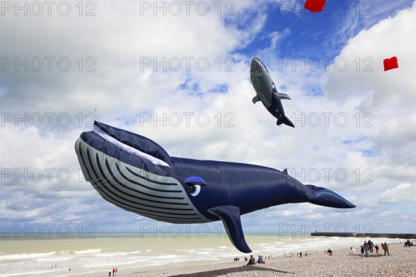 Kite festival on the beach, international kite festival, kites in the shape of whales, Dieppe, Normandy, France