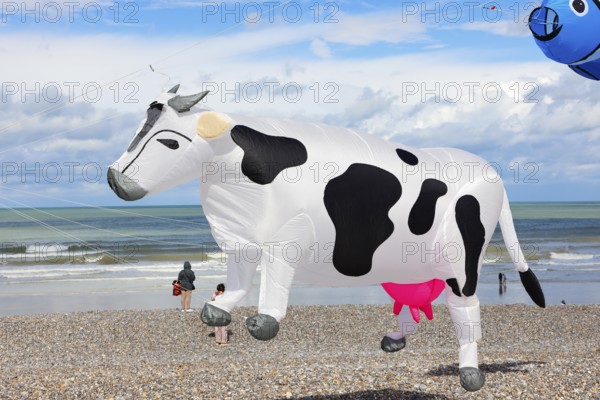 Kite festival, international kite festival, kite in the shape of a cow, Dieppe, Normandy, France