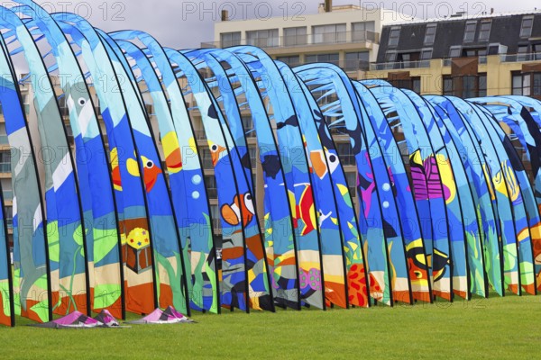 Kite Festival, International Kite Festival, Dieppe, Normandy, France