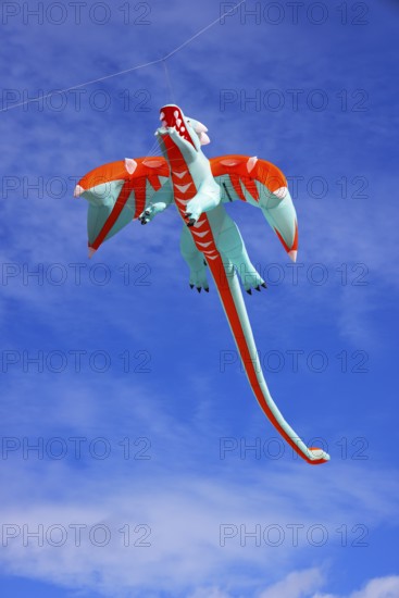 Kite festival, international kite festival, kite in the shape of a kite, Dieppe, Normandy, France