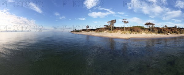 Drone image, panorama of the west beach on the Fischland Darß peninsula, Mecklenburg-Vorpommern, Germany