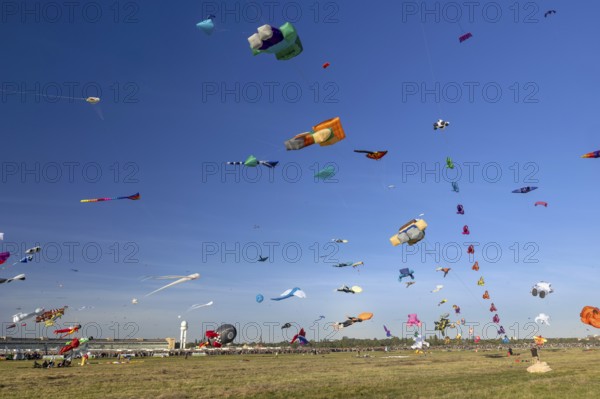 CITY AND COUNTRY Festival of GIANT DRAGONS 2025, 27 September 2025, Tempelhofer Feld, Berlin, Germany < english> CITY AND COUNTRY Festival of Giant Dragons 2025, September 27, 2025, Tempelhofer Feld, Berlin, Germany