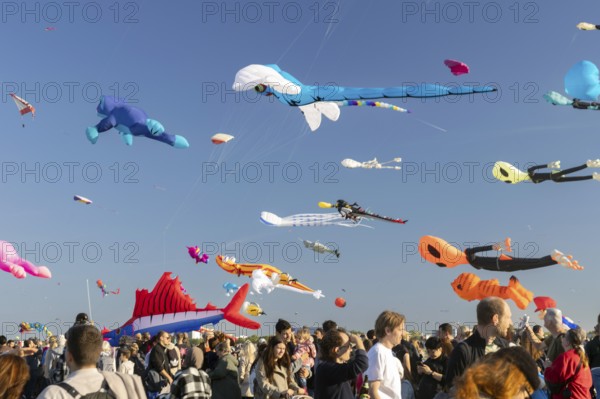 CITY AND COUNTRY Festival of GIANT DRAGONS 2025, 27 September 2025, Tempelhofer Feld, Berlin, Germany < english> CITY AND COUNTRY Festival of Giant Dragons 2025, September 27, 2025, Tempelhofer Feld, Berlin, Germany