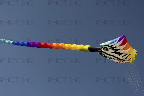 CITY AND COUNTRY Festival of GIANT DRAGONS 2025, 27 September 2025, Tempelhofer Feld, Berlin, Germany < english> CITY AND COUNTRY Festival of Giant Dragons 2025, September 27, 2025, Tempelhofer Feld, Berlin, Germany