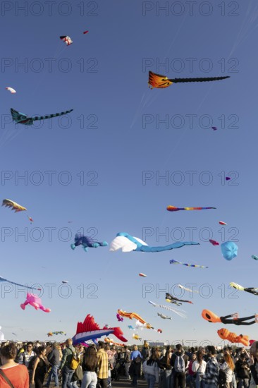 CITY AND COUNTRY Festival of GIANT DRAGONS 2025, 27 September 2025, Tempelhofer Feld, Berlin, Germany < english> CITY AND COUNTRY Festival of Giant Dragons 2025, September 27, 2025, Tempelhofer Feld, Berlin, Germany