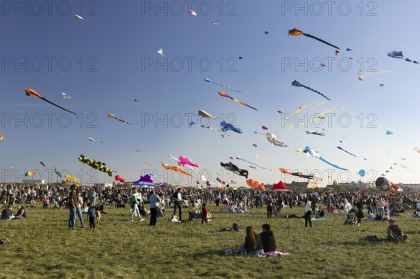 CITY AND COUNTRY Festival of GIANT DRAGONS 2025, 27 September 2025, Tempelhofer Feld, Berlin, Germany < english> CITY AND COUNTRY Festival of Giant Dragons 2025, September 27, 2025, Tempelhofer Feld, Berlin, Germany