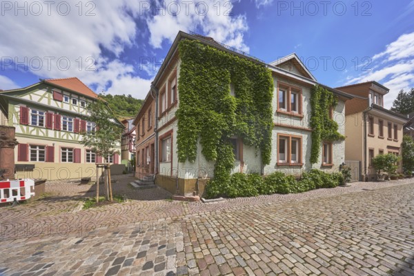 Old town, general architecture, historic buildings, half-timbered house, city tree, cobblestone roadway, Boston ivy (Parthenocissus tricuspidata), blue sky, cumulus clouds, Kleine Bach, Heppenheim, Odenwald, Bergstrasse district, Hesse, Germany