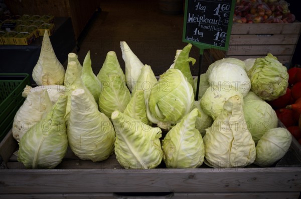 Pointed cabbage, pointed cabbage, display, market stall, farm shop, direct sales, Stuttgart, Baden-Württemberg, Germany