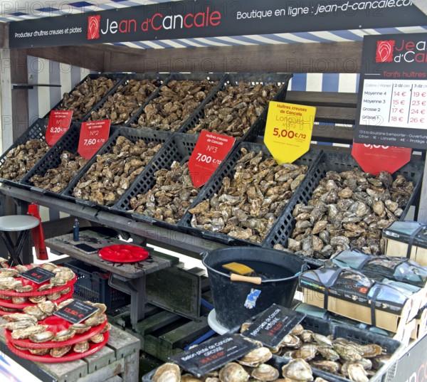 Oyster stall at the oyster market in Cancale, Brittany, France