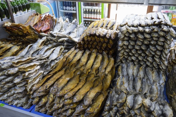 Stacks of fish in different patterns and heights on a market display shelf, fish sale, Tsovagyugh, Lake Sevan, Gegharkunik Province, Armenia