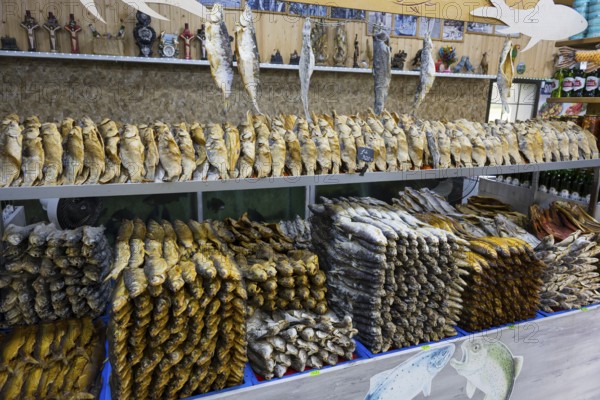 Different types of fish are displayed on a decorated shelf in a market, fish sale, Tsovagyugh, Lake Sevan, Gegharkunik province, Armenia