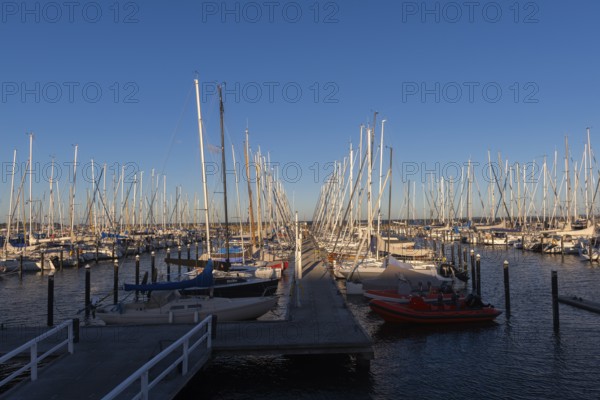 Olympic harbour Schilksee, Olympic Games 1972, sailing yachts at the jetty, ship masts in a row, evening light, sunshine, blue sky, Baltic Sea, Kiel Bay, Kiel Sailing City, Schleswig-Holstein, Germany