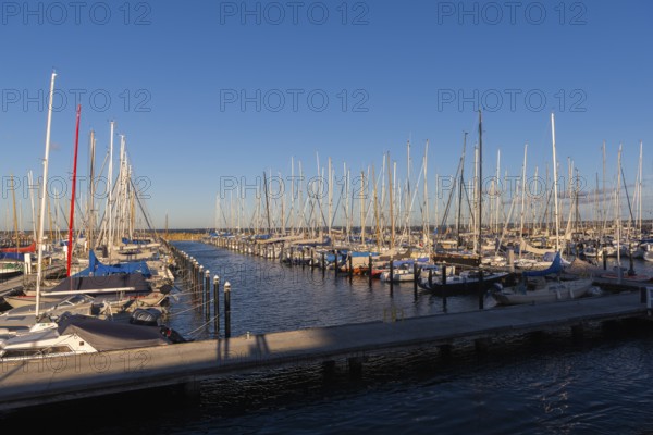 Olympic harbour Schilksee, Olympic Games 1972, sailing yachts at the jetty, ship masts in a row, evening light, sunshine, blue sky, Baltic Sea, Kiel Bay, Kiel Sailing City, Schleswig-Holstein, Germany