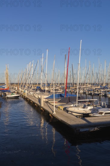 Olympic harbour Schilksee, Olympic Games 1972, sailing yachts at the jetty, ship masts in a row, water reflection, evening light, sunshine, blue sky, Baltic Sea, Kiel Bay, Kiel Sailing City, Schleswig-Holstein, Germany