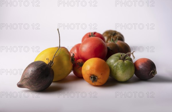 Red, yellow, black tomatoes of new crop on white background