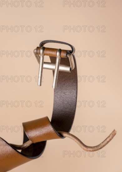 A red belt wrapped around a branch like a snake, with space for text on a beige background