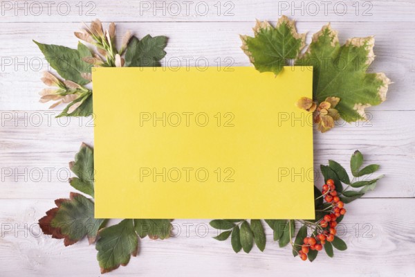 Yellow blank card, greeting card concept with leaves, fall and autumn