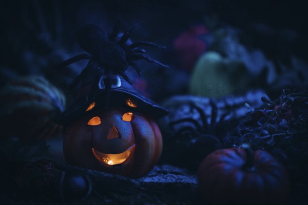 Pumpkin lantern with witch's hat and spider in a dark, mystical setting, Halloween atmosphere