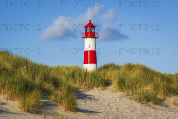 The Lister lighthouse at Ellenbogen, morning light, morning mood, dune, North Sea island, Sylt