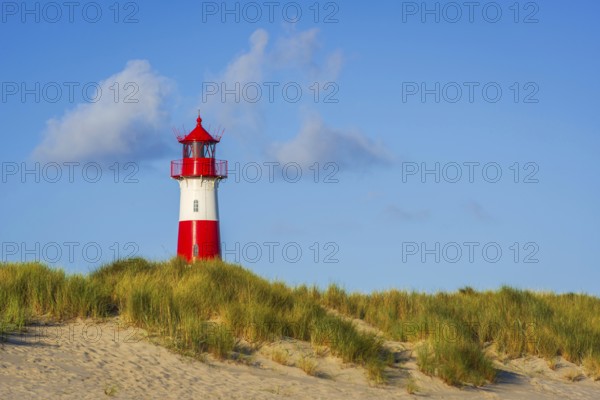 The Lister lighthouse at Ellenbogen, morning light, morning mood, dune, North Sea island, Sylt