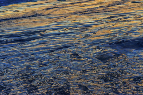 Evening sun reflected in the Wadden Sea at low tide, sun, sea, natural spectacle, Sylt
