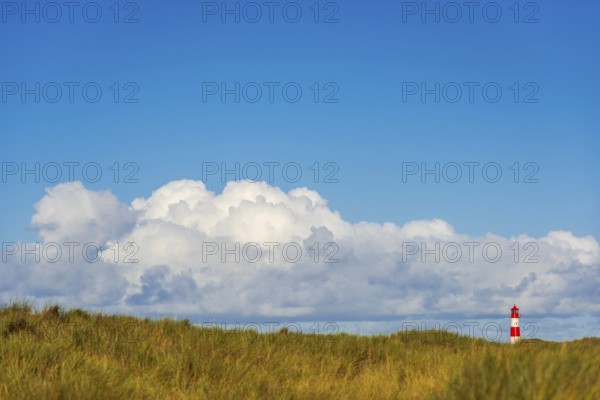 The Lister lighthouse at Ellenbogen, morning light, morning mood, dune, North Sea island, Sylt