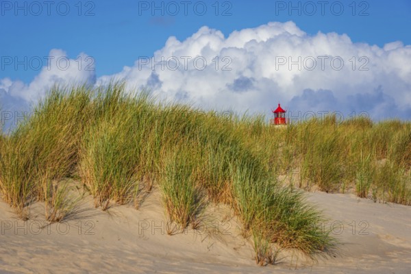 The Lister lighthouse at Ellenbogen, morning light, morning mood, dune, North Sea island, Sylt