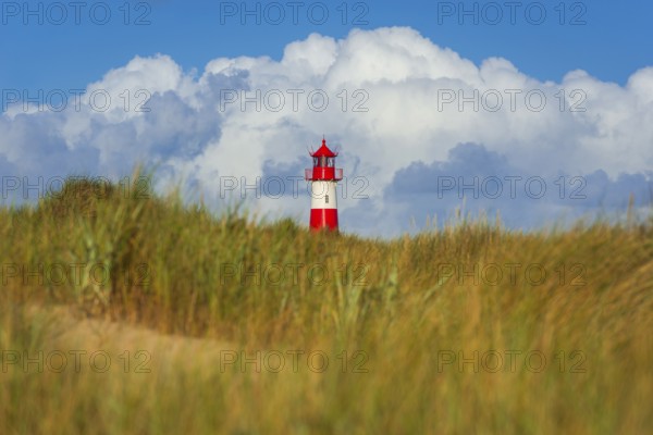 The Lister lighthouse at Ellenbogen, morning light, morning mood, dune, North Sea island, Sylt