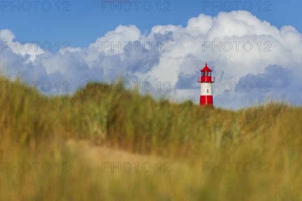The Lister lighthouse at Ellenbogen, morning light, morning mood, dune, North Sea island, Sylt