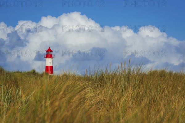 The Lister lighthouse at Ellenbogen, morning light, morning mood, dune, North Sea island, Sylt