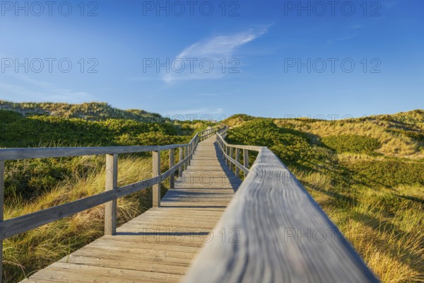 Footbridge, path, wooden walkway through the dunes, Sylt
