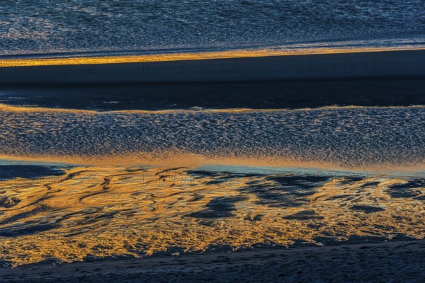 Evening sun reflected in the Wadden Sea at low tide, sun, sea, natural spectacle, Sylt