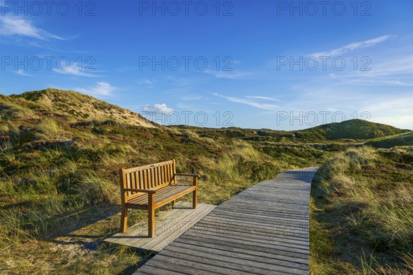 Jetty with bench in the dunes, resting place, North Sea, island, Sylt