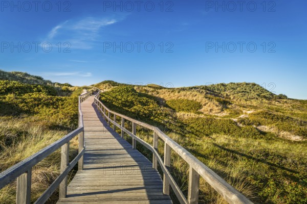 Footbridge, path, wooden walkway through the dunes, Sylt