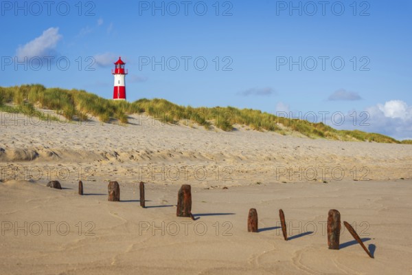 The Lister lighthouse at Ellenbogen, morning light, morning mood, dune, North Sea island, Sylt