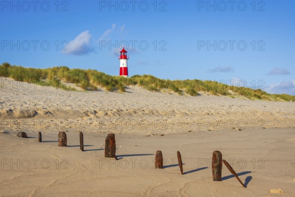 The Lister lighthouse at Ellenbogen, morning light, morning mood, dune, North Sea island, Sylt