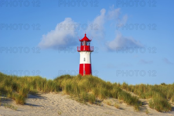 The Lister lighthouse at Ellenbogen, morning light, morning mood, dune, North Sea island, Sylt