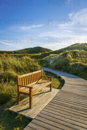 Jetty with bench in the dunes, resting place, North Sea, island, Sylt
