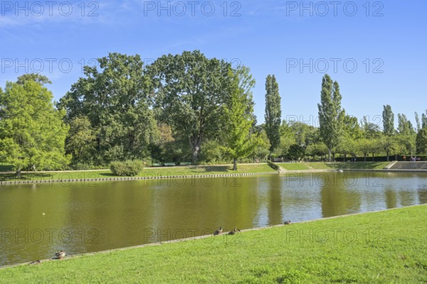 Blümelteich, Volkspark Mariendorf, Tempelhof-Schöneberg, Berlin, Germany