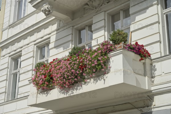 Old building, balcony, geraniums, Winterfeldtstraße, Schöneberg, Tempelhof-Schöneberg, Berlin, Germany