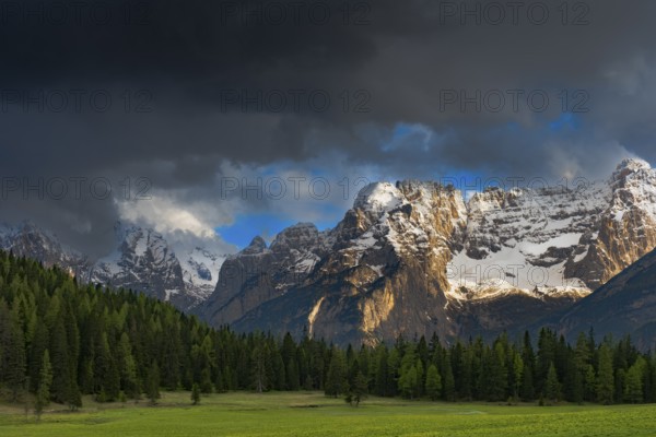 View over a meadow near Misurina to the Sorapis mountain group, Punta Sorapiss, Dolomites, South Tyrol, Italy