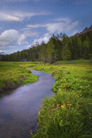 View along the stream Fiume Ansiei over a forest in the direction of the Three Peaks, Punta Sorapiss, Dolomites, South Tyrol, Italy