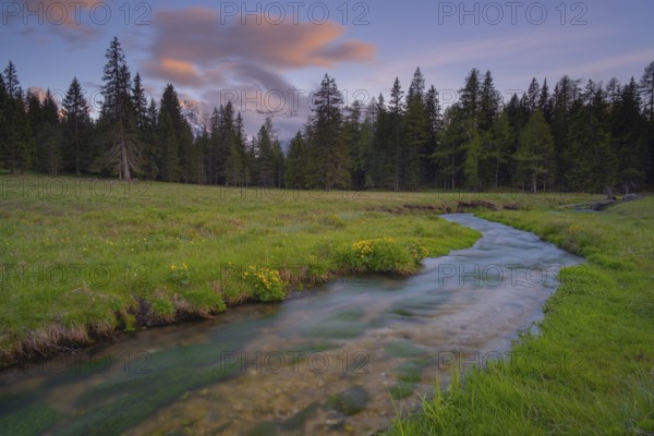 View along the Fiume Ansiei stream over a forest to the Sorapis mountain group in the evening light, Punta Sorapiss, Dolomites, South Tyrol, Italy