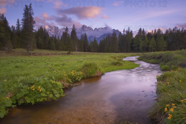 View along the Fiume Ansiei stream over a forest to the Sorapis mountain group in the evening light, Punta Sorapiss, Dolomites, South Tyrol, Italy
