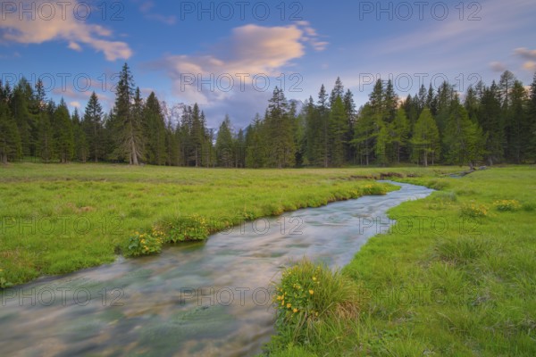 View along the Fiume Ansiei stream over a forest to the Sorapis mountain group in the evening light, Punta Sorapiss, Dolomites, South Tyrol, Italy